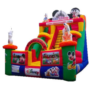 Inflable Deslizador Mundo Disney
