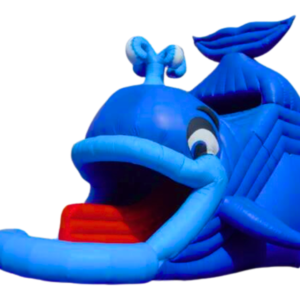 Deslizador Ballena
