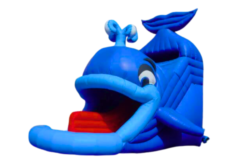 Deslizador Ballena
