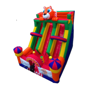 Inflable Deslizador Sencillo Grande 2